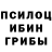 Псилоцибиновые грибы Cubensis KaPToLLIKuN_BPa4