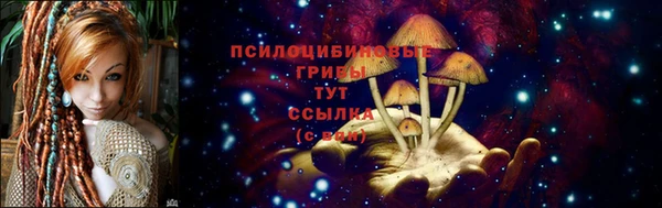 ALPHA PVP Армянск