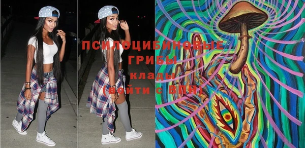молекула духа Арсеньев