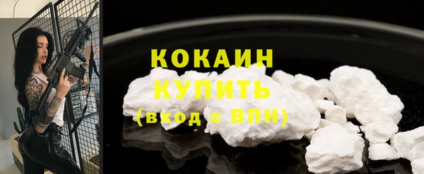 молекула духа Арсеньев