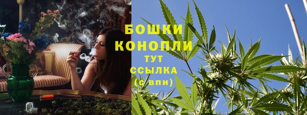 молекула духа Арсеньев