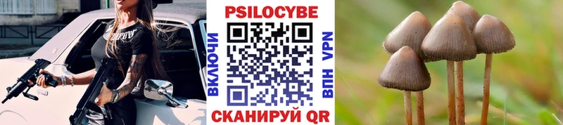 как найти закладки Сыктывкар Псилоцибиновые грибы Magic Shrooms